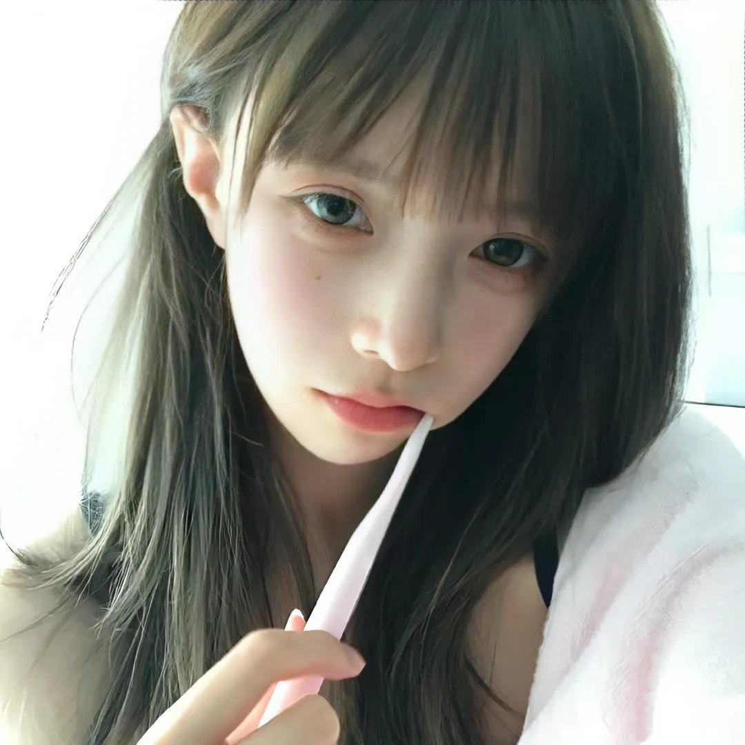 动画综艺